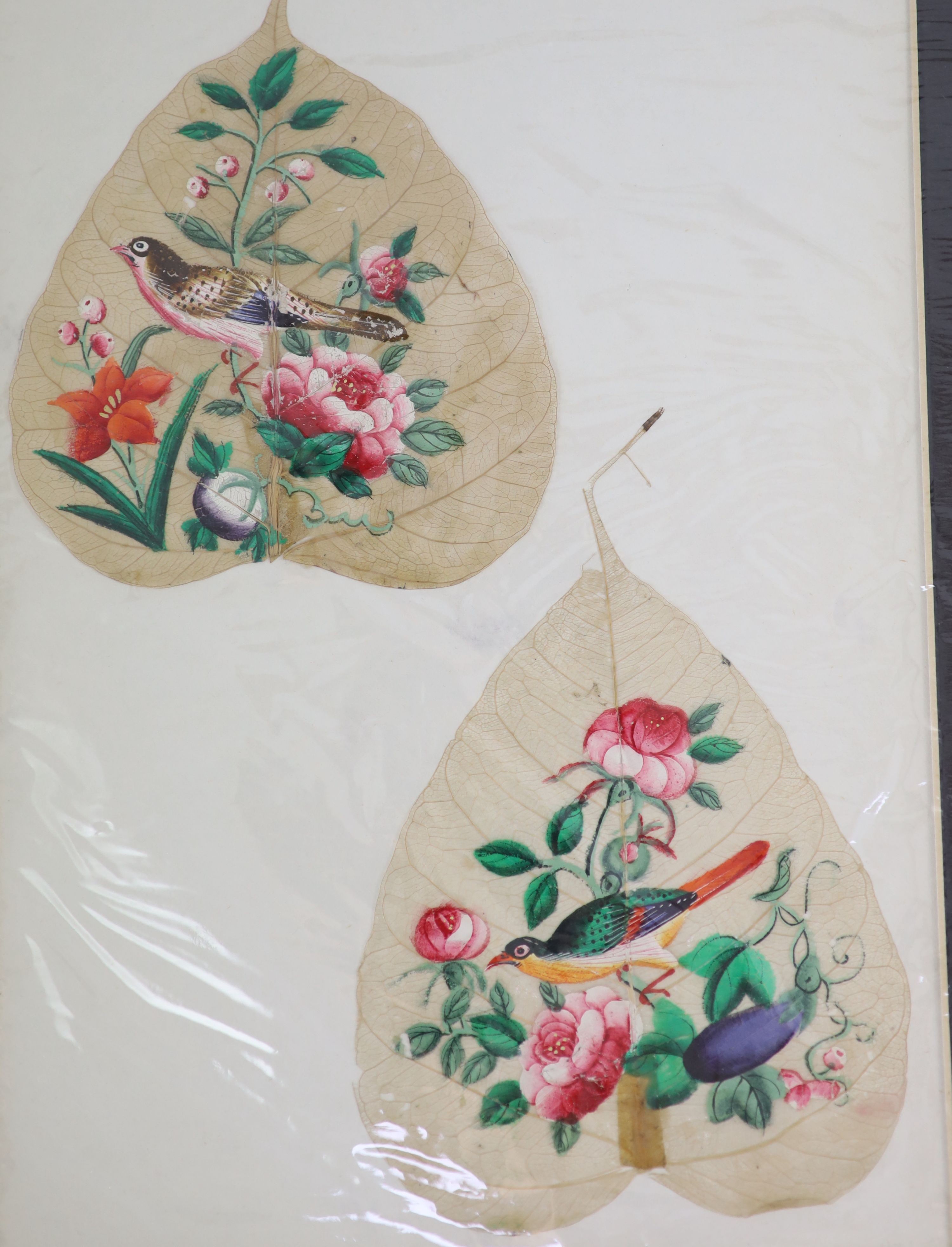 A collection of seventeen Chinese paintings on leaves, late 19th century